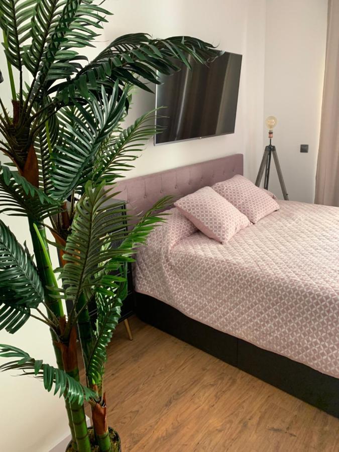 Loft De Lujo Con Piscina La Envia Apartman Vícar Kültér fotó